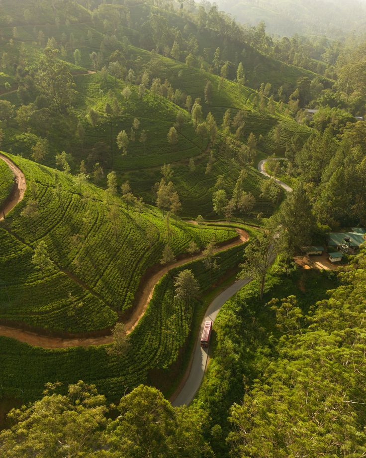nuwara eliya hill country