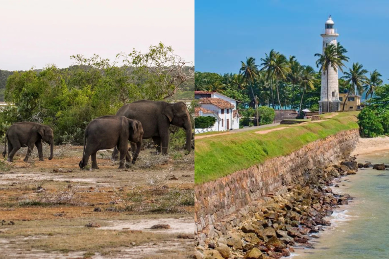 yala and galle fort